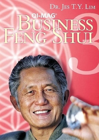 QI-MAG Feng Shui 3 Business
