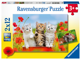 Ravensburger Kinderpuzzle - 07626 Katzen auf Entdeckungsreise - Puzzle für Kinder ab 3 Jahren, mit 2x12 Teilen