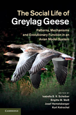 Social Life of Greylag Geese