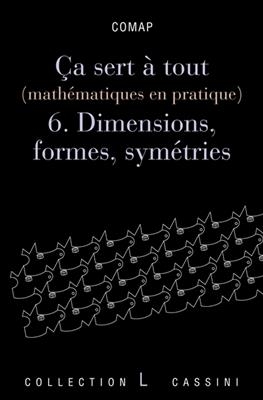 Ca sert à tout : mathématiques en pratique. Vol. 6. Dimensions, formes, symétries