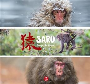 Saru : singes du Japon -  Sueur Cedric Pele Marie Bonn