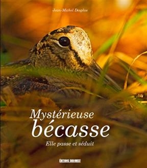 Mystérieuse bécasse : elle passe et séduit - Jean-Michel Desplos