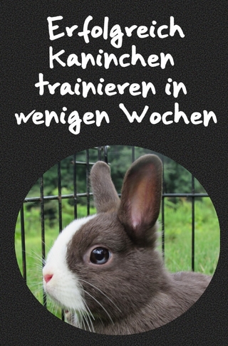 Erfolgreich Kaninchen trainieren in wenigen Wochen