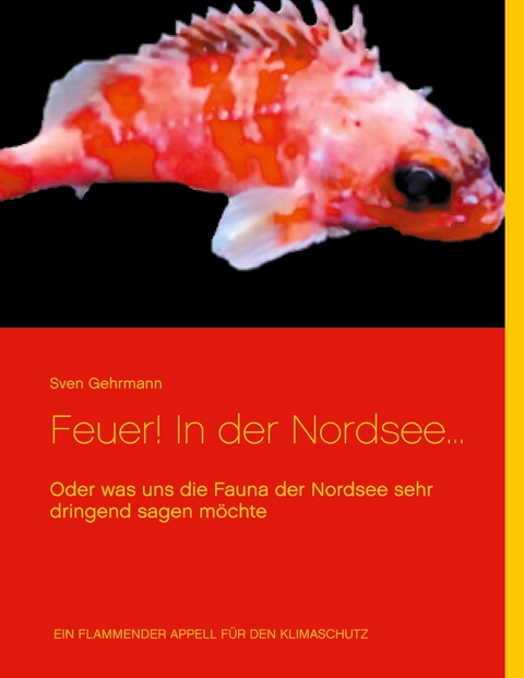 Feuer! In der Nordsee... - Sven Gehrmann