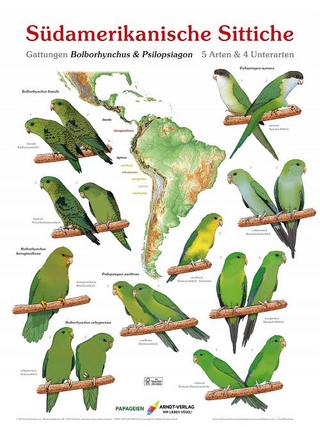 Poster Südamerikanische Sittiche 3