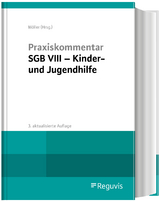 Praxiskommentar SGB VIII – Kinder- und Jugendhilfe - Möller, Winfried