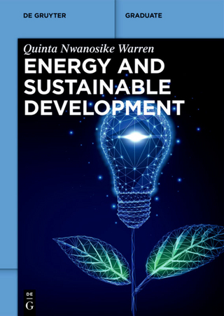 Energy and Sustainable Development