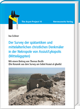Der Survey der spätantiken und mittelalterlichen christlichen Denkmäler in der Nekropole von Assiut/Lykopolis (Mittelägypten)