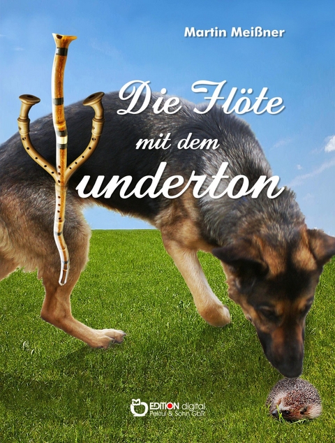 Die Fl&ouml;te mit dem Wunderton - Martin Mei&szlig;ner