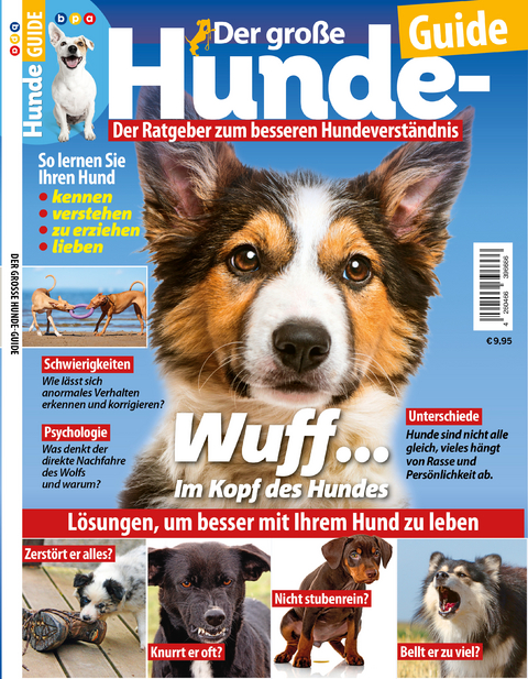Der gro&szlig;e Hunde Guide 02/2020 Hundeverstand - Oliver Buss