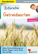 Erforsche Getreidearten - Gabriela Rosenwald