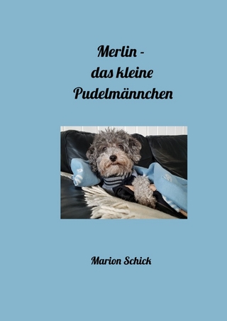 Merlin - das kleine Pudelmännchen