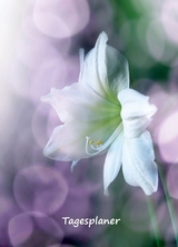 Tagesplaner undatiert A5 f&uuml;r Gestresste - Angelina Schulze