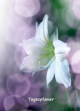 Tagesplaner undatiert A5 für Gestresste