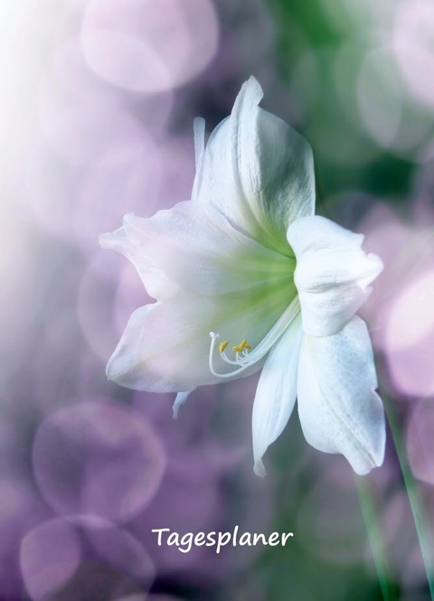 Tagesplaner undatiert A5 f&uuml;r Gestresste - Angelina Schulze