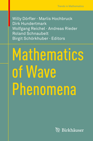 Mathematics of Wave Phenomena