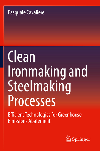 Clean Ironmaking and Steelmaking Processes
