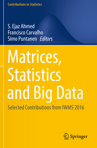 Matrices, Statistics and Big Data