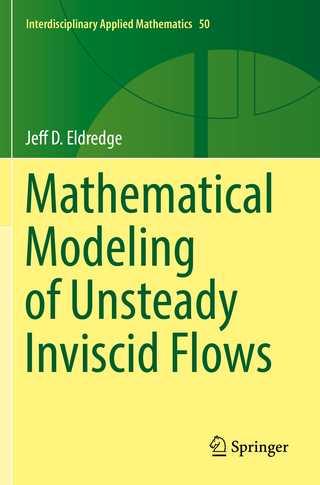 Mathematical Modeling of Unsteady Inviscid Flows