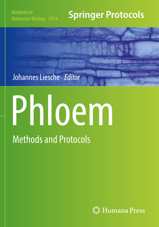 Phloem