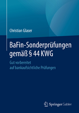 BaFin-Sonderpr&uuml;fungen gem&auml;&szlig; &sect; 44 KWG - Christian Glaser