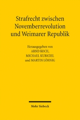 Strafrecht zwischen Novemberrevolution und Weimarer Republik - 