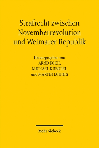 Strafrecht zwischen Novemberrevolution und Weimarer Republik