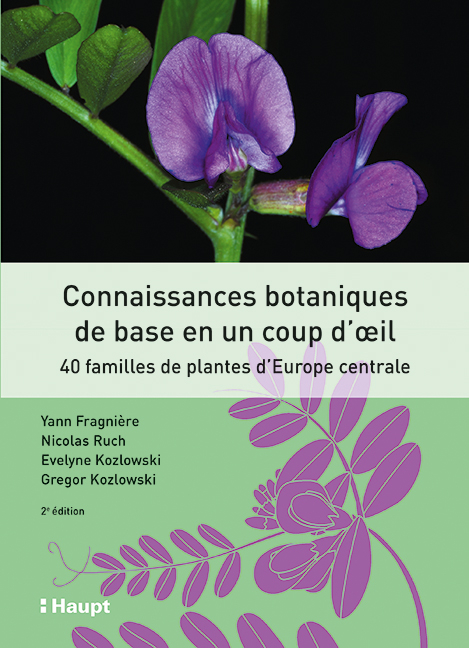 Connaissances botaniques de base en un coup d'oeil - Yann Fragni&egrave;re, Nicolas Ruch, Evelyne Kozlowski, Gregor Kozlowski