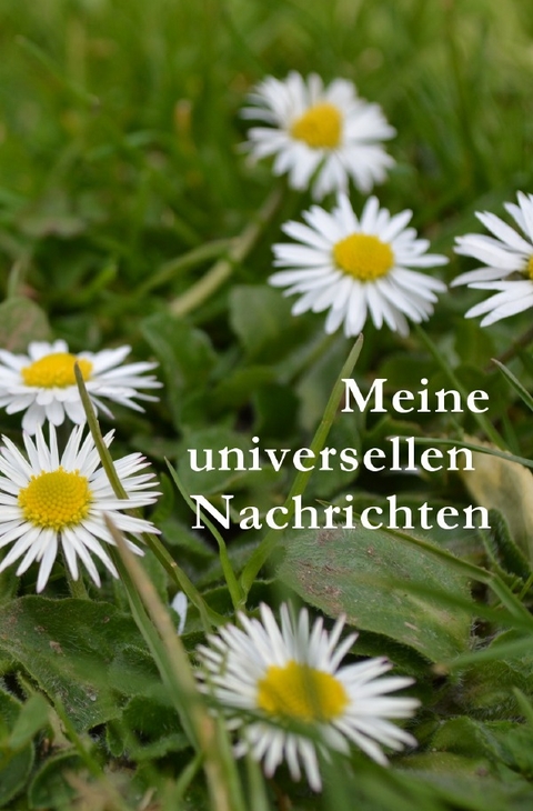 Universelle Nachrichten (A6 quer) - Saskia Francoise Elvers