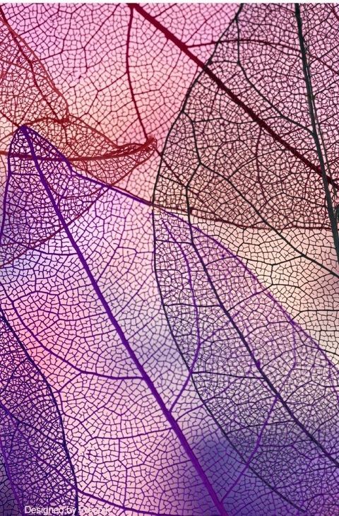 Herbst / Notizbuch Herbst Design,Bullet Journal, Geschenkidee, Softcover, 68 Seiten dotted - Notizbuch Health