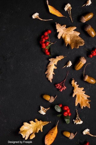 Herbst / Notizbuch Herbst Design,Bullet Journal, Geschenkidee, Softcover, 68 Seiten dotted