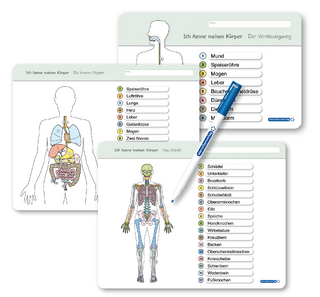 Ich kenne meinen Körper - Organe / Skelett / Verdauung- 3 Tafeln im Set mit Stift