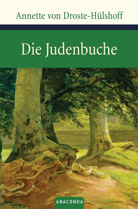 Die Judenbuche - Annette von Droste-H&uuml;lshoff