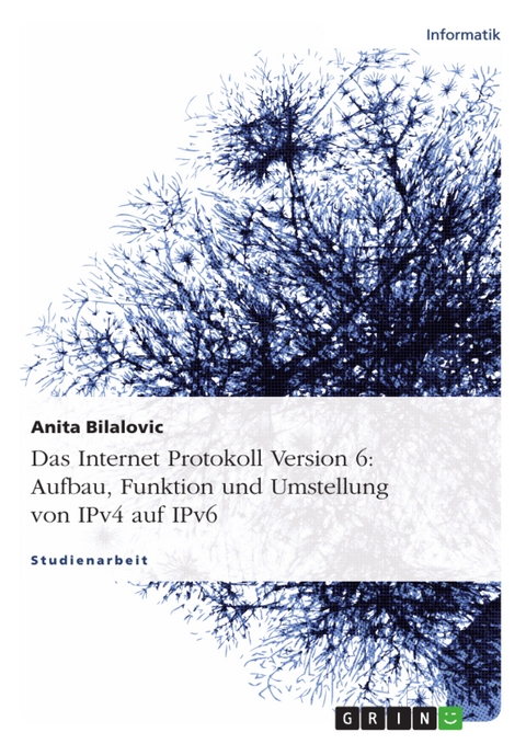 Das Internet Protokoll Version 6: Aufbau, Funktion und Umstellung von IPv4 auf IPv6 -  Anita Bilalovic