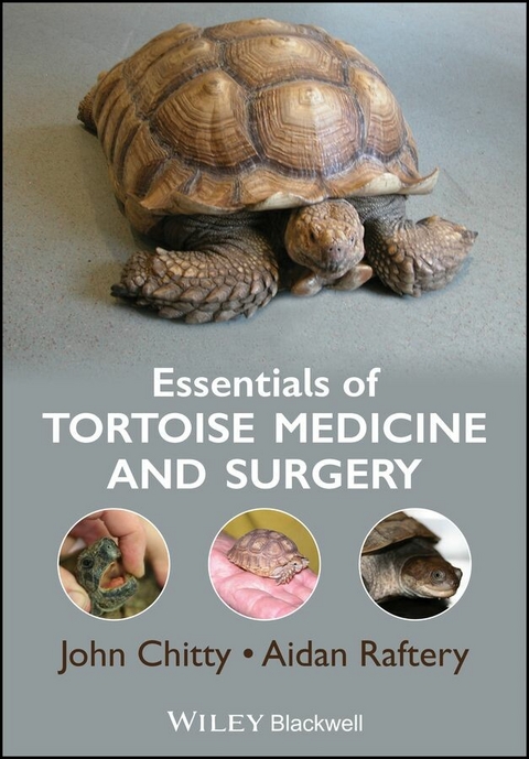 Essentials of Tortoise Medicine and Surgery - John Chitty, Aidan Raftery