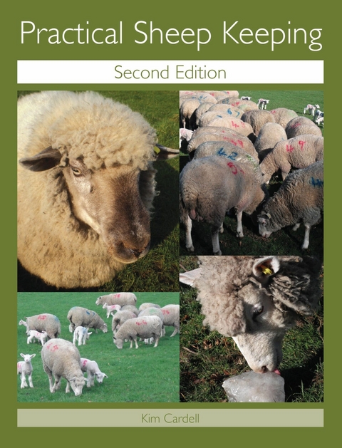 Practical Sheep Keeping - Kim Cardell
