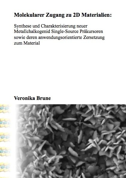 Molekularer Zugang zu 2D Materialien - Synthese und Charakterisierung neuer Metallchalkogenid Single-Source Pr&auml;kursoren sowie deren anwendungsorientierte Zersetzung zum Material - Veronika Brune