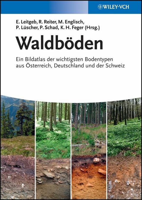 Waldb&ouml;den - 