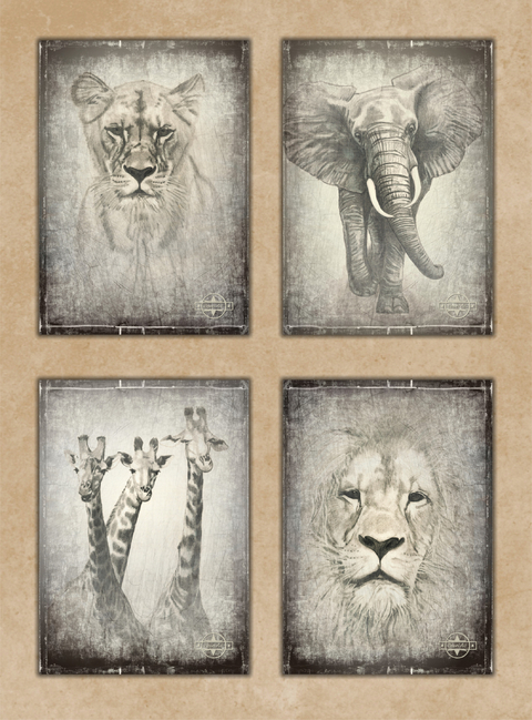Poster-Set &bdquo;Kenia&ldquo; - Susanne Kreuer