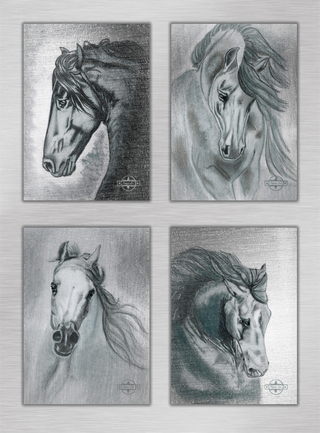 Poster-Set „Horses – Silver Edition“