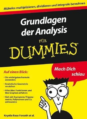 Grundlagen der Analysis f&uuml;r Dummies - Krystle Rose Forseth, Christopher Burger, Michelle Rose Gilman, Deborah J. Rumsey, Mark Ryan