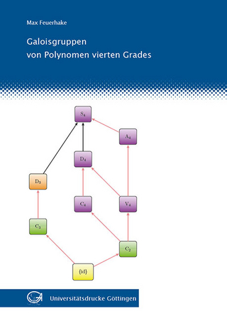 Galoisgruppen von Polynomen vierten Grades