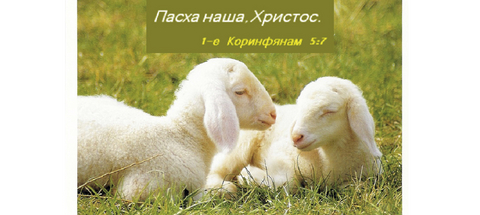 "Wir haben auch ein Osterlamm." - Russisch - Ellen Schadt-Beck