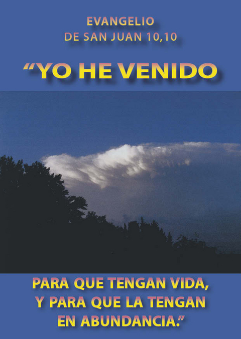 YO HE VENIDO PARA QUE TENGAN VIDA EN ABUNDANCIA - Ellen Schadt-Beck