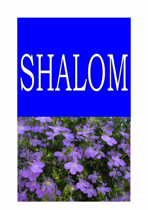 SHALOM - Ellen Schadt-Beck