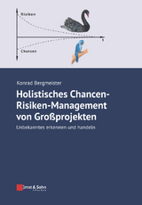 Holistisches Chancen-Risiken-Management von Gro&szlig;projekten - Konrad Bergmeister