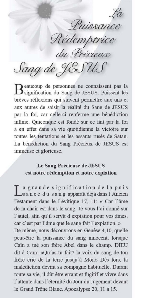 La Force r&eacute;demptrice du saint Sang de J&eacute;sus - Walter Wilms