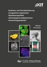 Synthese und Charakterisierung anorganisch-organischer Hybridnanopartikel mit biologisch-medizinischem Anwendungspotential - Mikhail Khorenko