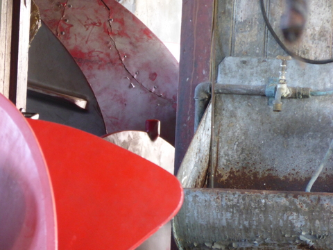 Har&oslash;y & andere Orte am Meer - Holger Stark