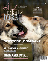 SitzPlatzFuss, Ausgabe 41 - 